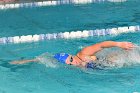 Swimming vs Bentley  Wheaton College Swimming & Diving vs Bentley College. - Photo by Keith Nordstrom : Wheaton, Swimming & Diving